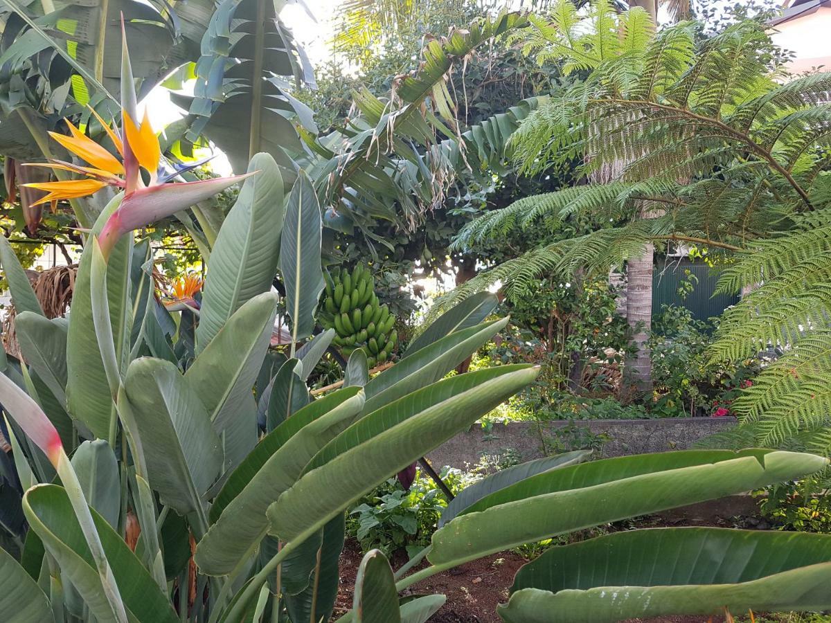 City View Gardens I Funchal  Bagian luar foto